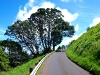 Mount Eden Aufstieg