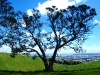 Mount Eden Aussicht