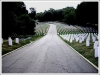 arlington-cemetary