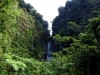 Regenwald-Pool-1-Dominica-Wasserfälle