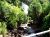 Regenwald-Pool-1-Dominica-Heiße-Quelle