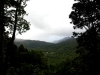 Regenwald-5-Dominica