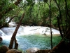 Regenwald-Pool-7-Australien