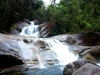 Regenwald-Pool-8-Australien
