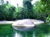 Regenwald-Pool-9-Australien