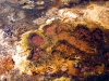 Yellowstone
