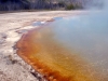 Yellowstone