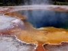 Yellowstone
