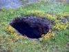 Yellowstone